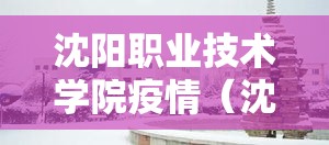 沈阳职业技术学院疫情(沈阳职业技术学院啥时候开学) 沈阳职业技术学院疫情(沈阳职业技术学院啥时候开学)