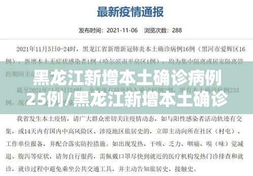 黑龙江新增本土确诊病例25例/黑龙江新增本土确诊病历