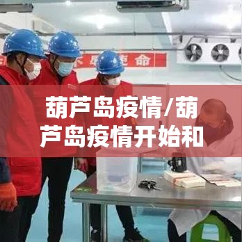 葫芦岛疫情/葫芦岛疫情开始和结束 葫芦岛疫情/葫芦岛疫情开始和结束