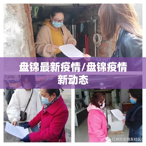 盘锦最新疫情/盘锦疫情新动态 盘锦最新疫情/盘锦疫情新动态