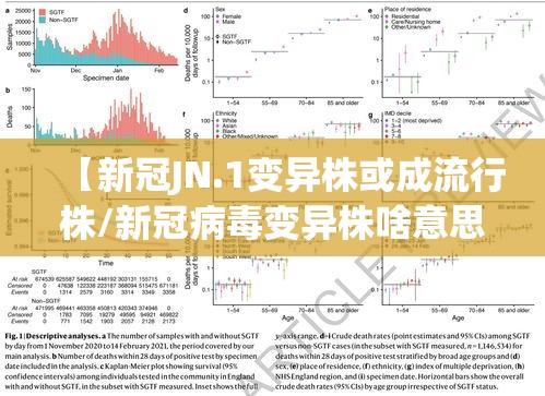 【新冠JN.1变异株或成流行株/新冠病毒变异株啥意思】 【新冠JN.1变异株或成流行株/新冠病毒变异株啥意思】