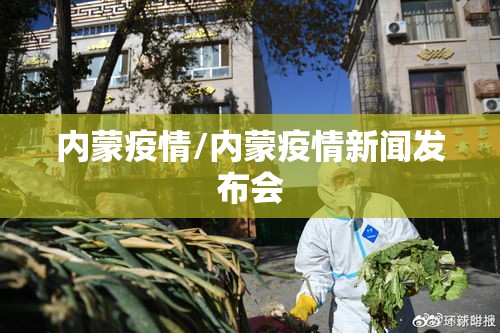 内蒙疫情/内蒙疫情新闻发布会 内蒙疫情/内蒙疫情新闻发布会