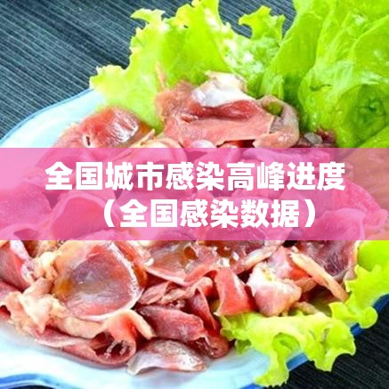 全国城市感染高峰进度(全国感染数据) 全国城市感染高峰进度(全国感染数据)