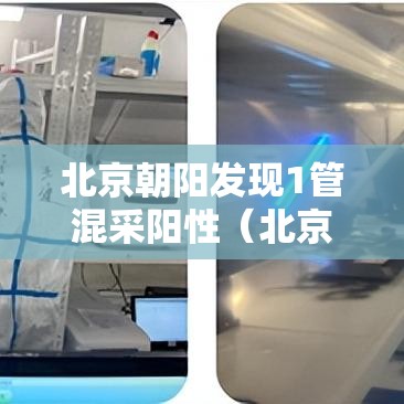 北京朝阳发现1管混采阳性(北京朝阳核酸混检) 北京朝阳发现1管混采阳性(北京朝阳核酸混检)