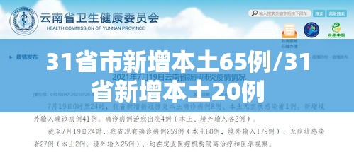 31省市新增本土65例/31省新增本土20例