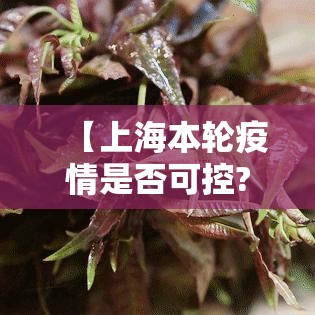 【上海本轮疫情是否可控?专家回应,上海此轮疫情得到控制】 【上海本轮疫情是否可控?专家回应,上海此轮疫情得到控制】
