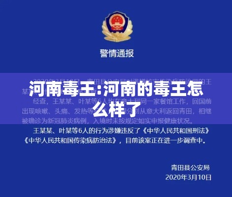 河南毒王:河南的毒王怎么样了