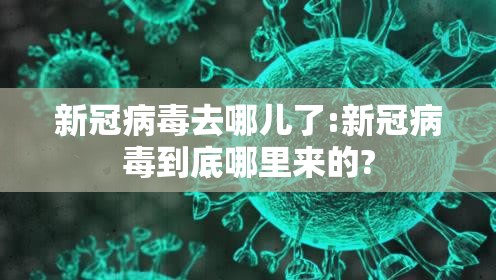 新冠病毒去哪儿了:新冠病毒到底哪里来的? 新冠病毒去哪儿了:新冠病毒到底哪里来的?