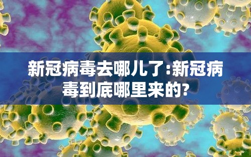 新冠病毒去哪儿了:新冠病毒到底哪里来的? 新冠病毒去哪儿了:新冠病毒到底哪里来的?