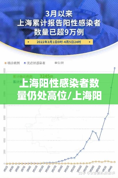 上海阳性感染者数量仍处高位/上海阳性新冠 上海阳性感染者数量仍处高位/上海阳性新冠