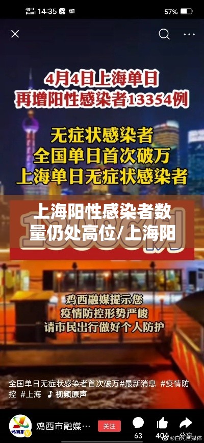 上海阳性感染者数量仍处高位/上海阳性新冠 上海阳性感染者数量仍处高位/上海阳性新冠