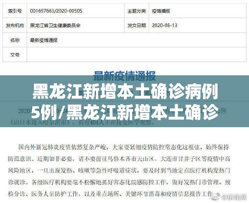 黑龙江新增本土确诊病例5例/黑龙江新增本土确诊病历 黑龙江新增本土确诊病例5例/黑龙江新增本土确诊病历