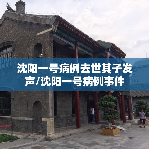 沈阳一号病例去世其子发声/沈阳一号病例事件 沈阳一号病例去世其子发声/沈阳一号病例事件
