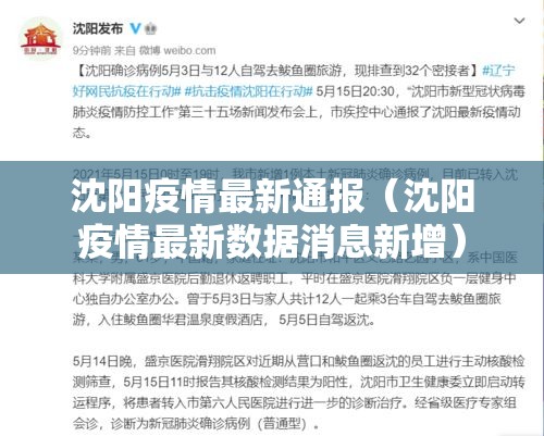 沈阳疫情最新通报(沈阳疫情最新数据消息新增) 沈阳疫情最新通报(沈阳疫情最新数据消息新增)