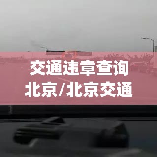 交通违章查询北京/北京交通违章查询app下载 交通违章查询北京/北京交通违章查询app下载