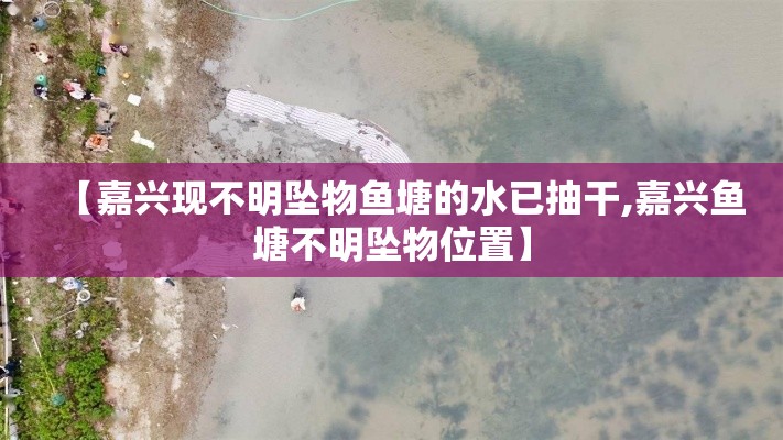 【嘉兴现不明坠物鱼塘的水已抽干,嘉兴鱼塘不明坠物位置】