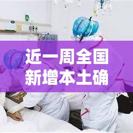 近一周全国新增本土确诊病例757例/近一周全国新增本土确诊病例757例是哪里的