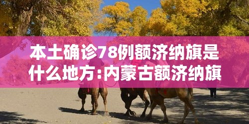 本土确诊78例额济纳旗是什么地方:内蒙古额济纳旗确诊详情公布 本土确诊78例额济纳旗是什么地方:内蒙古额济纳旗确诊详情公布