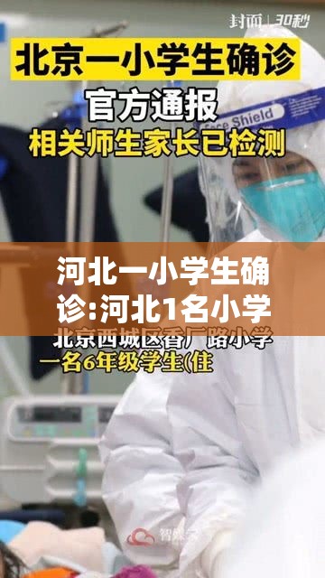 河北一小学生确诊:河北1名小学生确诊 河北一小学生确诊:河北1名小学生确诊