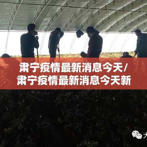 肃宁疫情最新消息今天/肃宁疫情最新消息今天新增 肃宁疫情最新消息今天/肃宁疫情最新消息今天新增
