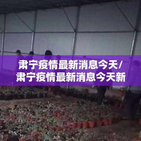 肃宁疫情最新消息今天/肃宁疫情最新消息今天新增 肃宁疫情最新消息今天/肃宁疫情最新消息今天新增