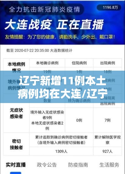 辽宁新增11例本土病例均在大连/辽宁新增1例本土确诊 在大连 辽宁新增11例本土病例均在大连/辽宁新增1例本土确诊 在大连