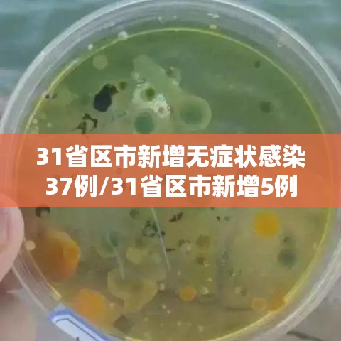 31省区市新增无症状感染37例/31省区市新增5例无症状感染者 31省区市新增无症状感染37例/31省区市新增5例无症状感染者