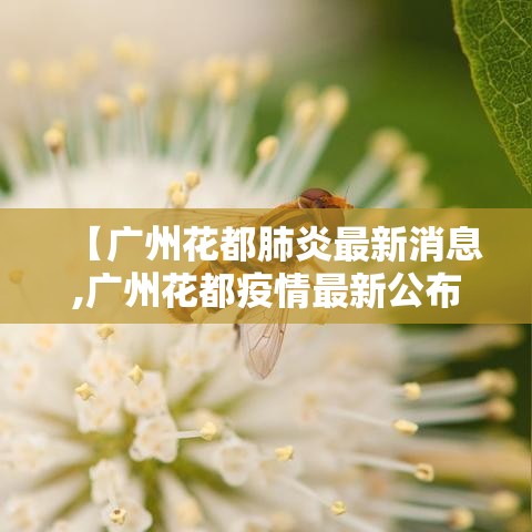 【广州花都肺炎最新消息,广州花都疫情最新公布】