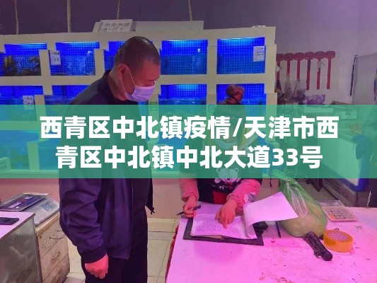 西青区中北镇疫情/天津市西青区中北镇中北大道33号