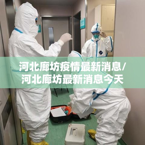 河北廊坊疫情最新消息/河北廊坊最新消息今天 河北廊坊疫情最新消息/河北廊坊最新消息今天