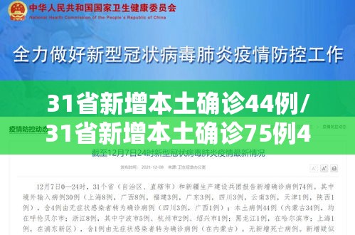31省新增本土确诊44例/31省新增本土确诊75例42 31省新增本土确诊44例/31省新增本土确诊75例42
