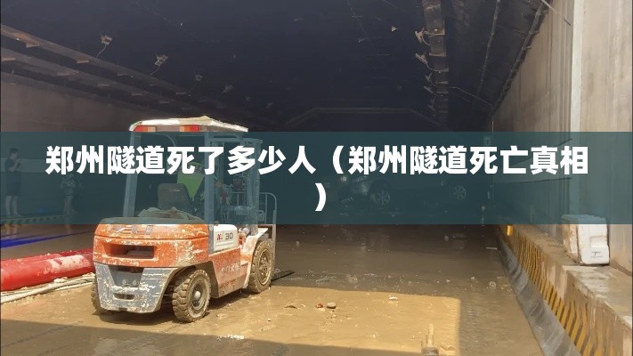 郑州隧道死了多少人(郑州隧道死亡真相) 郑州隧道死了多少人(郑州隧道死亡真相)