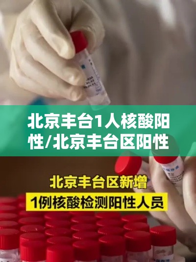 北京丰台1人核酸阳性/北京丰台区阳性 北京丰台1人核酸阳性/北京丰台区阳性