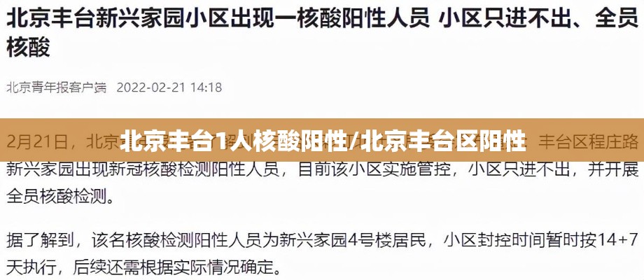北京丰台1人核酸阳性/北京丰台区阳性 北京丰台1人核酸阳性/北京丰台区阳性
