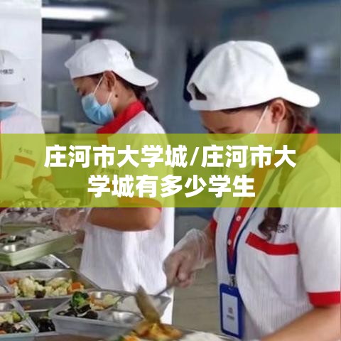 庄河市大学城/庄河市大学城有多少学生 庄河市大学城/庄河市大学城有多少学生