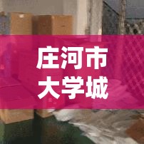 庄河市大学城/庄河市大学城有多少学生 庄河市大学城/庄河市大学城有多少学生