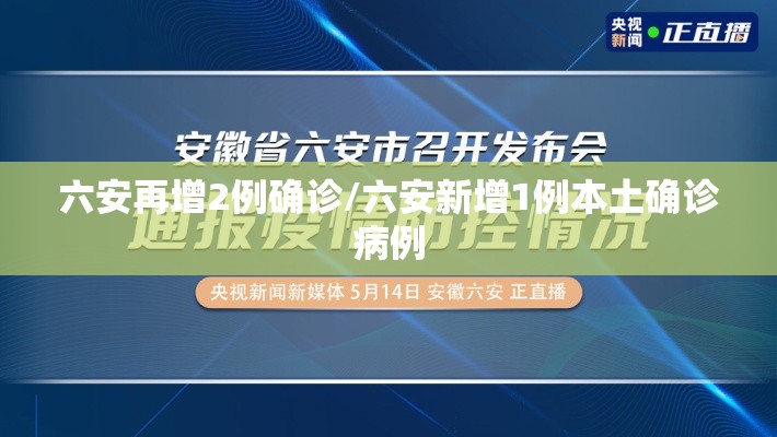 六安再增2例确诊/六安新增1例本土确诊病例 六安再增2例确诊/六安新增1例本土确诊病例