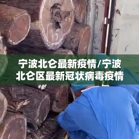宁波北仑最新疫情/宁波北仑区最新冠状病毒疫情 宁波北仑最新疫情/宁波北仑区最新冠状病毒疫情