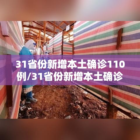 31省份新增本土确诊110例/31省份新增本土确诊110例 河南87例 31省份新增本土确诊110例/31省份新增本土确诊110例 河南87例