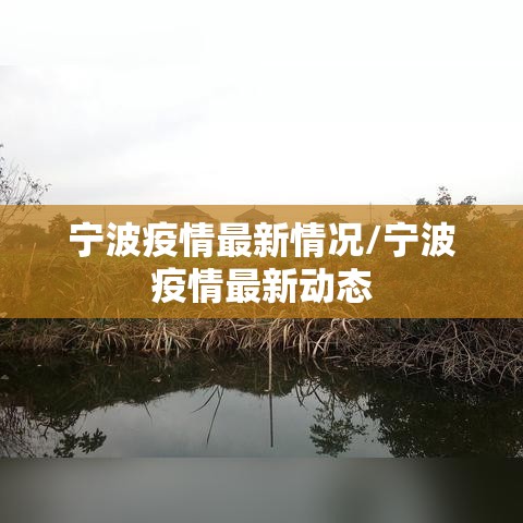 宁波疫情最新情况/宁波疫情最新动态 宁波疫情最新情况/宁波疫情最新动态