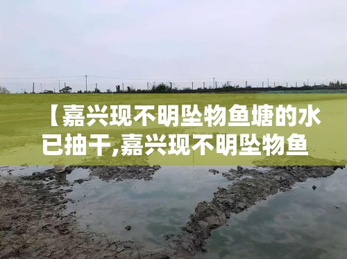 【嘉兴现不明坠物鱼塘的水已抽干,嘉兴现不明坠物鱼塘的水已抽干 仍在打捞 勘探队已进场】