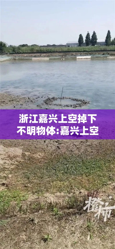 浙江嘉兴上空掉下不明物体:嘉兴上空掉下“不明物体”