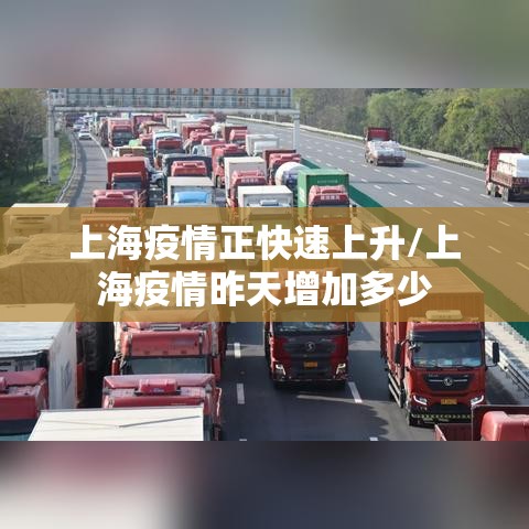 上海疫情正快速上升/上海疫情昨天增加多少 上海疫情正快速上升/上海疫情昨天增加多少