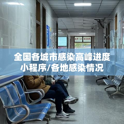 全国各城市感染高峰进度小程序/各地感染情况 全国各城市感染高峰进度小程序/各地感染情况