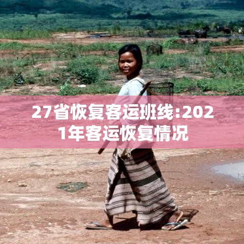 27省恢复客运班线:2021年客运恢复情况 27省恢复客运班线:2021年客运恢复情况