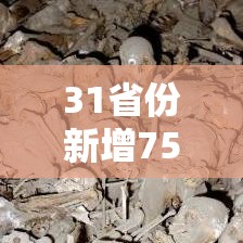 31省份新增75例本土涉河北等5省份/31省新增本土52例 河北51例