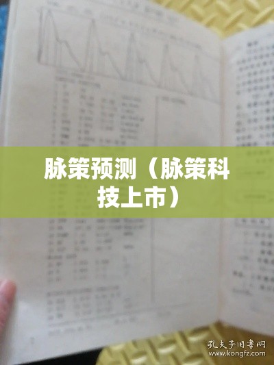 脉策预测(脉策科技上市) 脉策预测(脉策科技上市)
