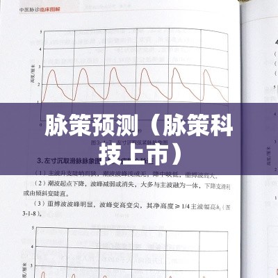 脉策预测(脉策科技上市) 脉策预测(脉策科技上市)