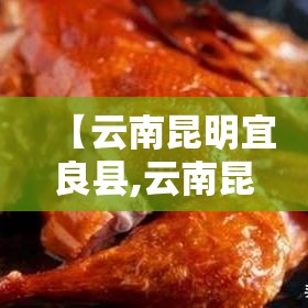 【云南昆明宜良县,云南昆明宜良县森林火灾事件】 【云南昆明宜良县,云南昆明宜良县森林火灾事件】
