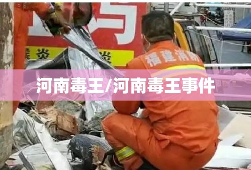 河南毒王/河南毒王事件